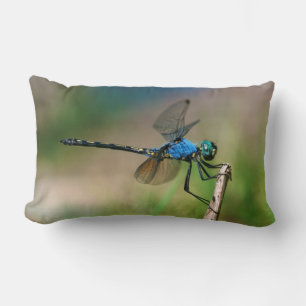 Naher Aufstieg eines blauen Drachen fliegt auf ein Lendenkissen