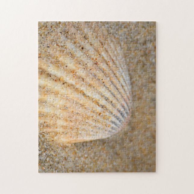 Naher Cockle SeaShell im Sand am Strand (Vertikal)