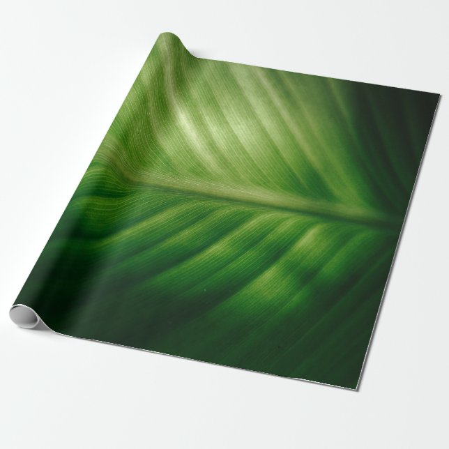 Naher grüner Elf Geschenkpapier (Ungerollt)