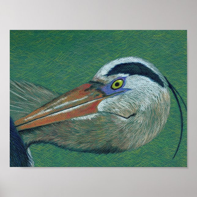 Naher Heron Poster (Vorne)