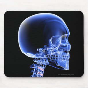 Naher hoher Röntgenstrahl der Knochen im Hals Mousepad