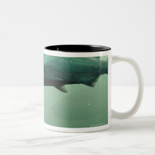 Naher hoher Schuss des Lachsbetriebs Zweifarbige Tasse