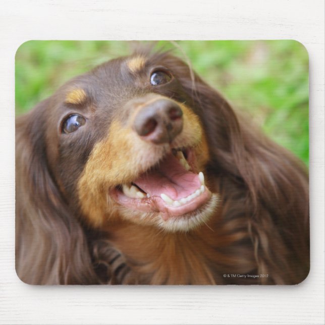 Naher Hund einer Dackel Mousepad (Vorne)