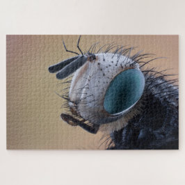 Naher Insektenkopf