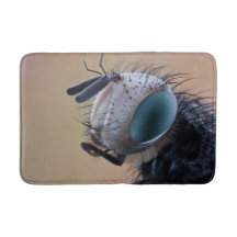 Naher Insektenkopf