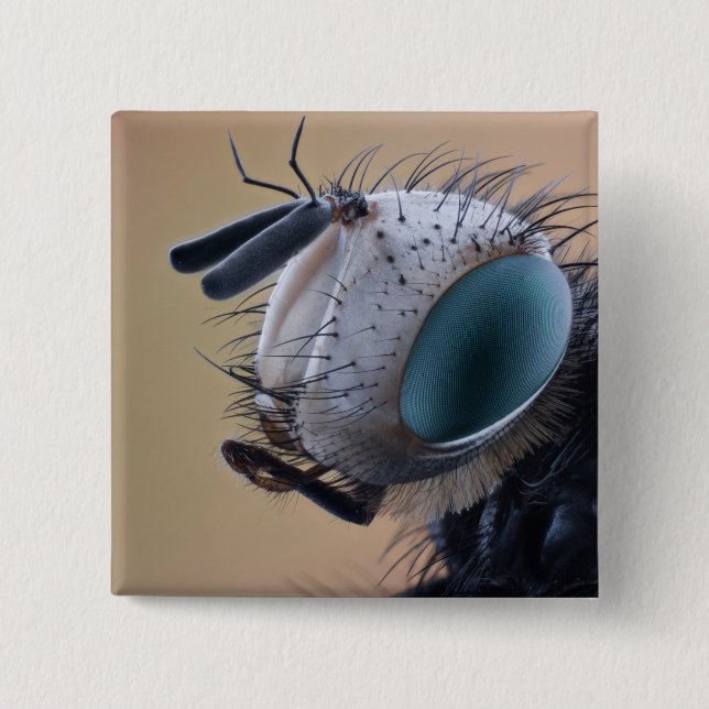 Naher Insektenkopf Button (Vorderseite)