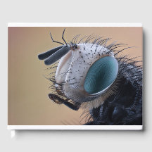 Naher Insektenkopf