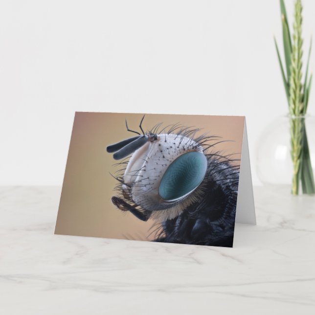 Naher Insektenkopf Karte (Vorderseite)