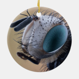 Naher Insektenkopf Keramik Ornament