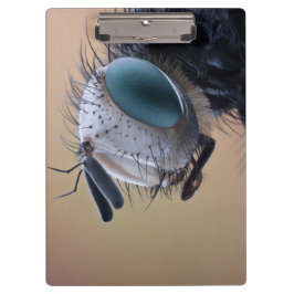Naher Insektenkopf Klemmbrett
