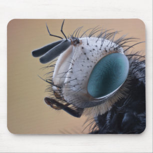 Naher Insektenkopf Mousepad