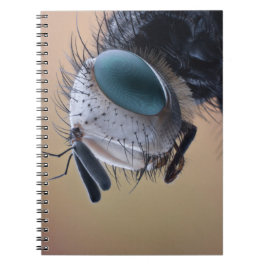 Naher Insektenkopf Notizblock