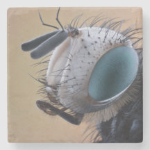 Naher Insektenkopf