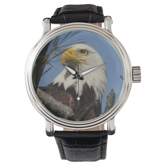 Naher Kopfschoß des Bald-Adlers Armbanduhr (Vorderseite)