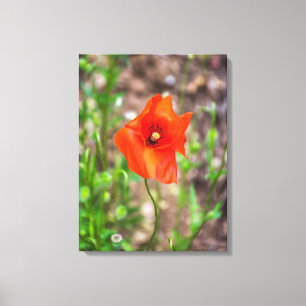 Naher Leinenprint mit rotem Mohn Leinwanddruck