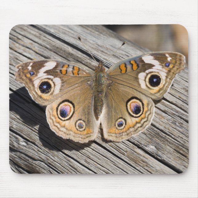 Naher Schmetterling (Junonia) Mousepad (Vorne)