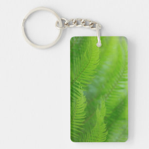 Naher Schwertfarn Schlüsselanhänger