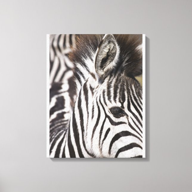 Naher Zebrastreifen Leinwanddruck (Vorderseite)