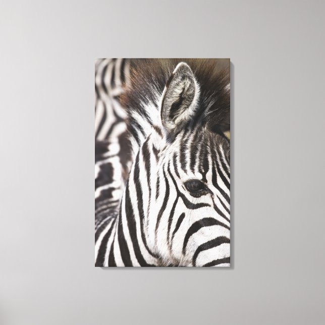 Naher Zebrastreifen Leinwanddruck (Vorderseite)