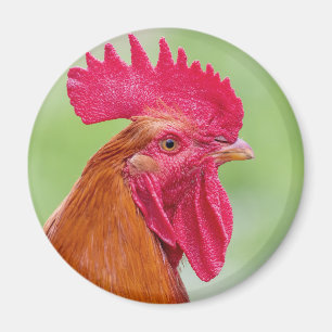 Nahes Auflisten Magnet