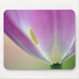 Nahes Aufsetzen der Unterseite der Tulpe-Blume, Ku Mousepad