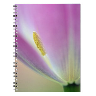 Nahes Aufsetzen der Unterseite der Tulpe-Blume, Ku Notizblock
