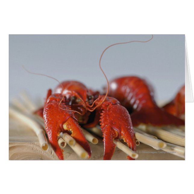 Nahes Aufsetzen einer Krabbe auf Stöcken (Vorderseite (Horizontal))