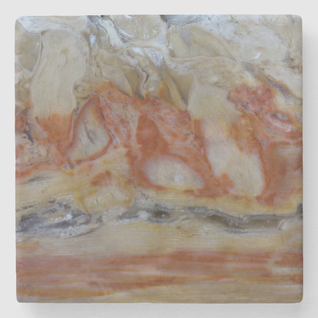 Nahes Aufsetzen von versteinertem Holz Steinuntersetzer (Vorderseite)