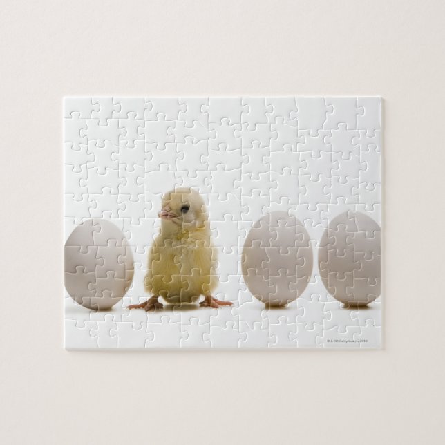Nahes Auftragen eines Babykichts mit drei Eiern (Horizontal)