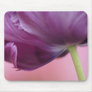 Nahes Aufziehen der Unterseite der Tulpenregion, K Mousepad