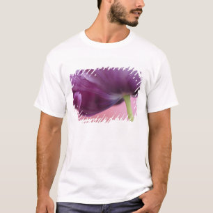 Nahes Aufziehen der Unterseite der Tulpenregion, K T-Shirt