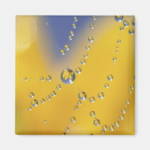 Nahes Aufziehen des Spinnennetzes mit Tau Magnet