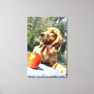 Nahes Aufziehen eines Apfels vor einem Hund Leinwanddruck
