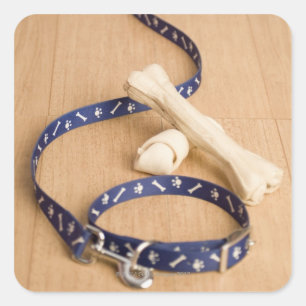 Nahes Aufziehen eines Halsband und einer Leine mit Quadratischer Aufkleber