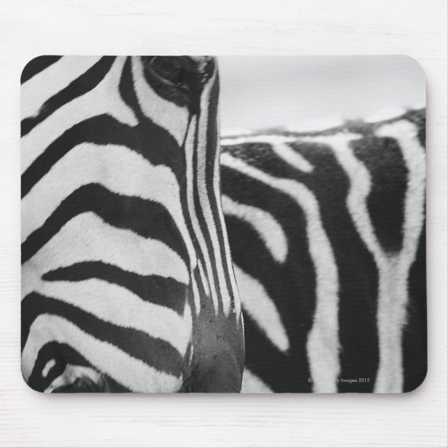 Nahes Aufziehen von Zebra im Gesicht und an der Sc Mousepad (Vorne)
