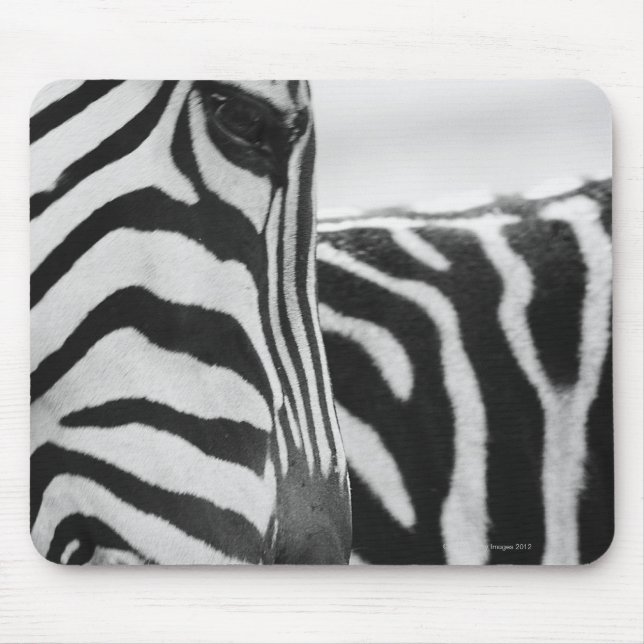 Nahes Aufziehen von Zebra im Gesicht und an der Sc Mousepad (Vorne)