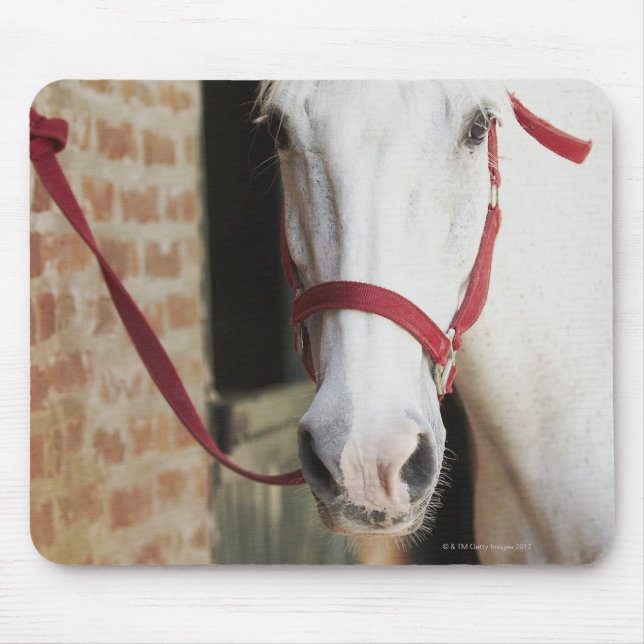 Nahes Einsetzen eines Pferdes 2 Mousepad (Vorne)