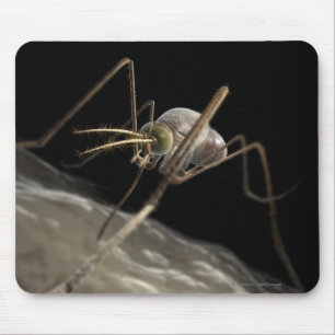 Nahes hohes Beißen des Moskitos 3d Mousepad