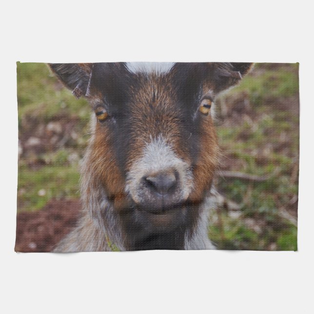 Nahes hohes der Ziege Handtuch (Horizontal)