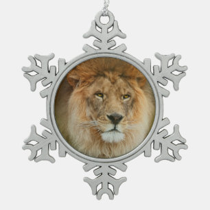Nahes hohes majestätischen Löwes Südafrikas Schneeflocken Zinn-Ornament