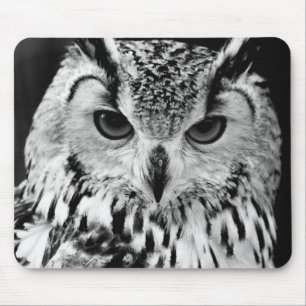 Nahes hohes Porträt der eurasischen Eagle-Eule Mousepad