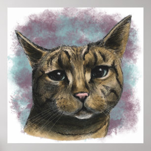 Nahes hohes Tabby-Katzen-realistisches Zeichnen Poster