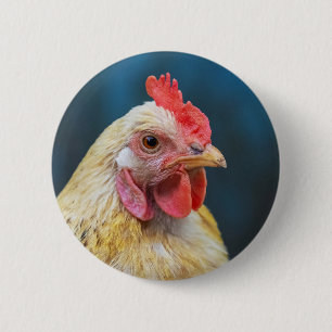 Nahes Hühnchen Button