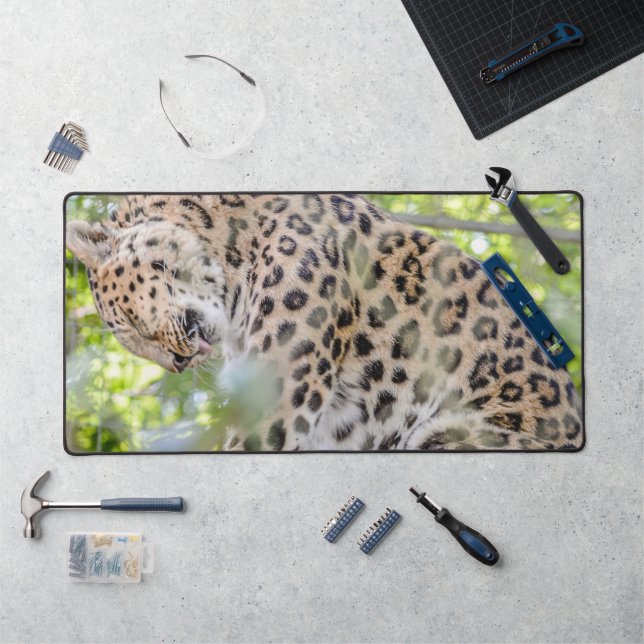 Nahes Leopard-Foto Schreibtischunterlage (Arbeitsplatz)