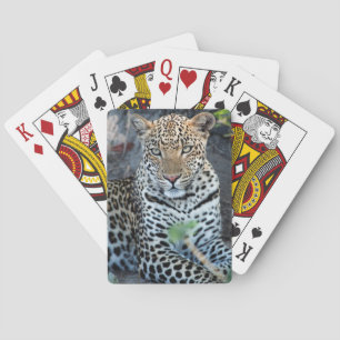 Nahes Leopardenportrait Spielkarten