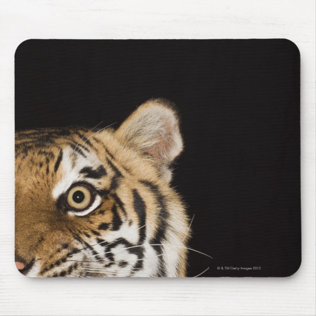Nahes Ohr des zerreißenden Tigers Mousepad (Vorne)