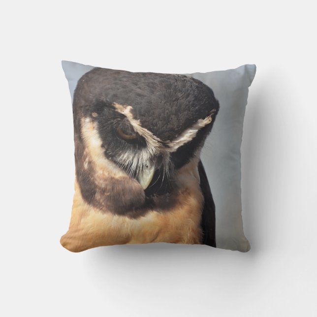 Nahes Owl, das wütend auf den Hafen schaut Kissen (Vorderseite)