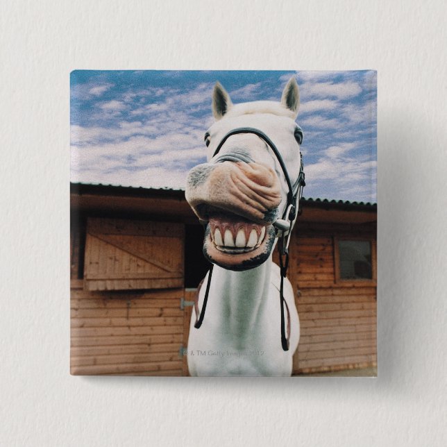 Nahes Pferd mit Mundöffnung Button (Vorderseite)