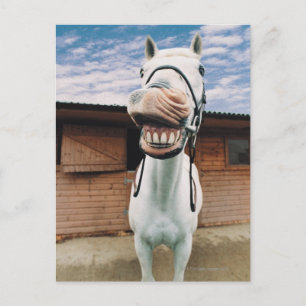 Nahes Pferd mit Mundöffnung Postkarte