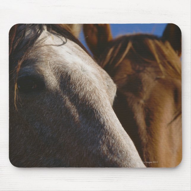 Nahes Pferd Mousepad (Vorne)